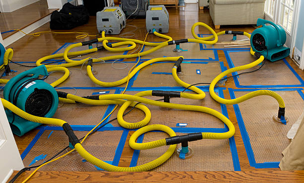 Professional Water Damage Repair technician working in New Market, AL